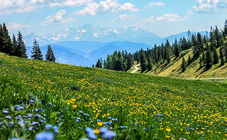 H2O voda planina